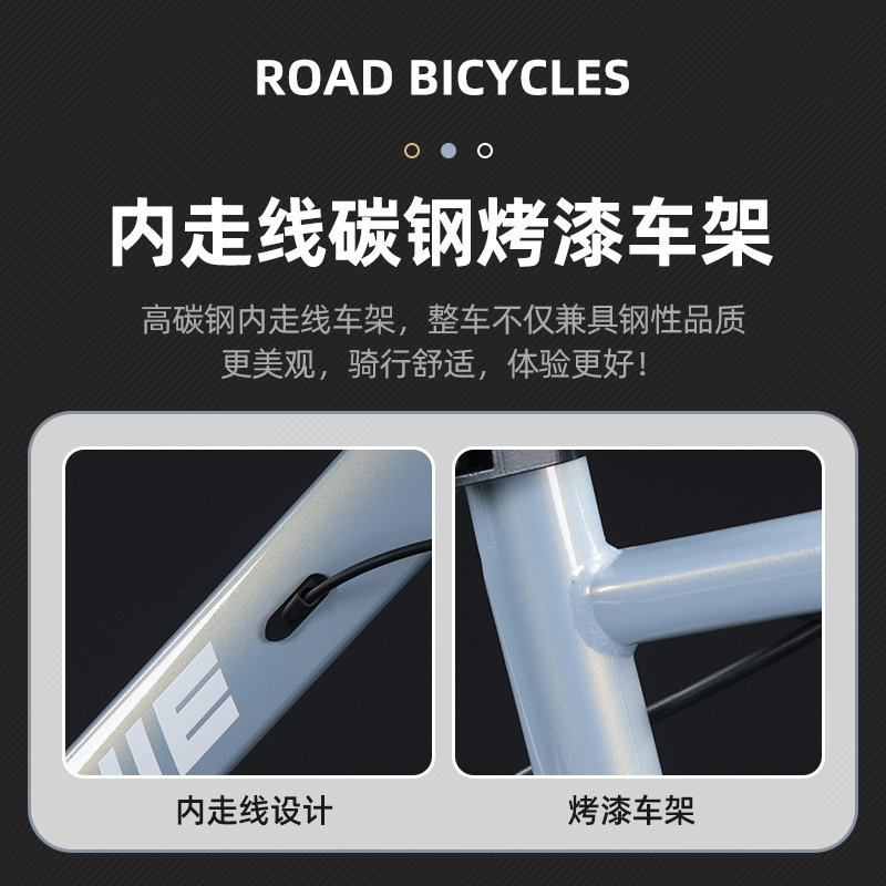 Variable Speed Road Bike Inter - огляд і ціна Cycling Commute Speed